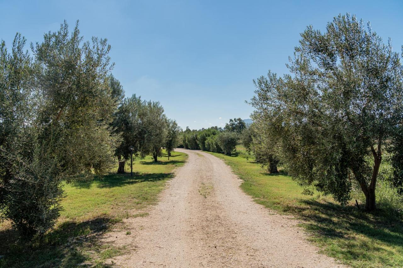 Su Cannonariu Orosei Εξωτερικό φωτογραφία