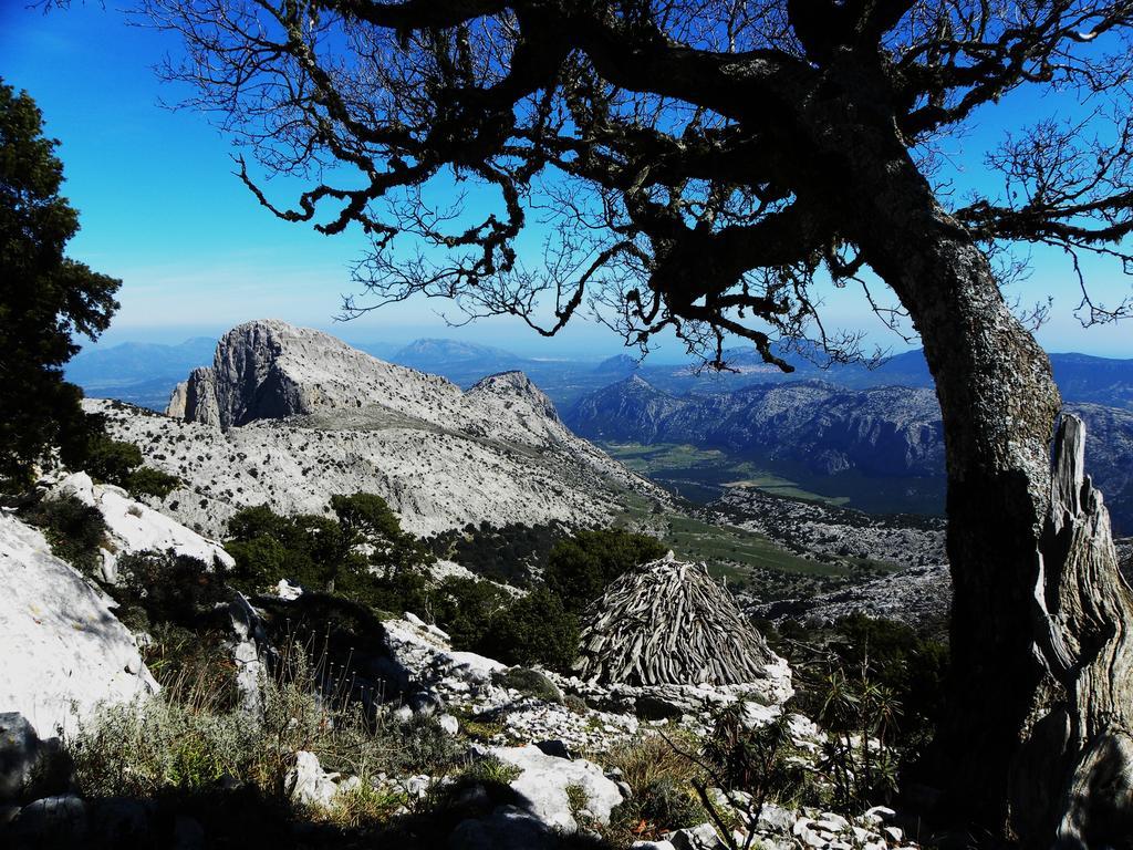 Su Cannonariu Orosei Εξωτερικό φωτογραφία