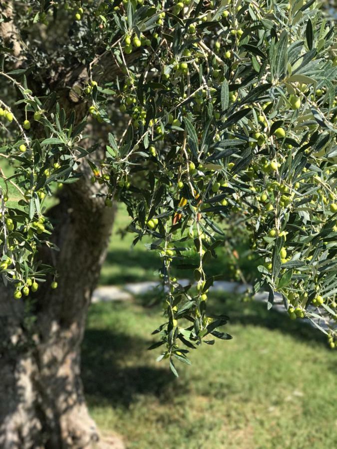 Su Cannonariu Orosei Εξωτερικό φωτογραφία